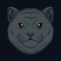 Cat British Shorthair head vector illustration