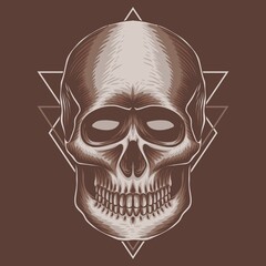 Skull head vector illustration