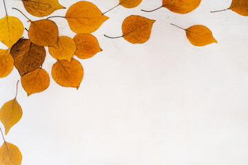 Flatlay composition text frame autumn yellow leaves white relief background