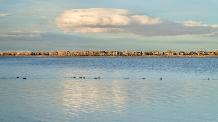 calm lake with ducks in November scenery - Boyd Lake State Park in northern Colorado