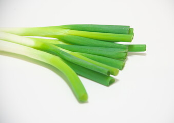 白ネギ　白背景