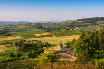 Cadole dans le paysage Beaujolais, France