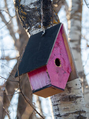 birdhouse on tree