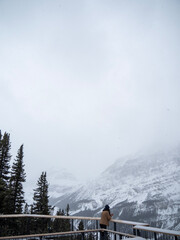 Fototapeta premium winter in the mountains