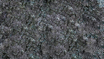 texture of stone