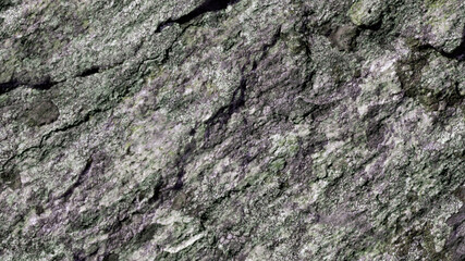 texture of stone