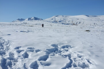 winter mountains