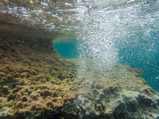 Air bubbles in the water background.Abstract oxygen bubbles in sea.Water bubbles isolate on black background.Black and white tone style, Air bubbles underwater rising to water surface, natural scene.