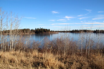 Blue Of The Lake, Elk Island National Park, Alberta