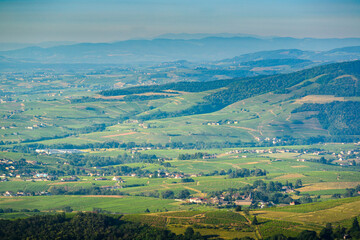 Fototapeta na wymiar Vignes et monts du Beaujolais, France