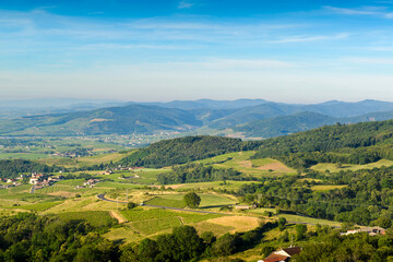 Fototapeta na wymiar Vignes et monts du Beaujolais, France