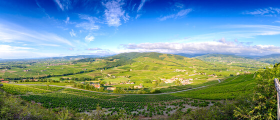 Fototapeta na wymiar Vue panoramique sur les vignes et la paysage Beaujolais, France