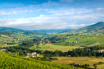 Vallée de l'Ardière (Cercié, Saint Vincent, Beaujeu), Beaujolais, France