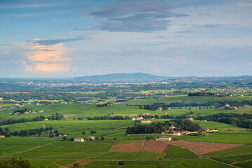 Landscape of vineyards, Beaujolais