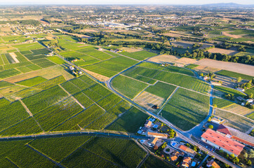 Vineyards and village in Beaujolais land