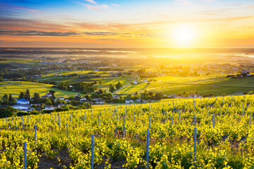 First lights of sunrise over vineyards and landscape of Beaujolais