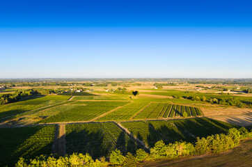 Fototapeta na wymiar Vineyards landscape in Beaujolais land