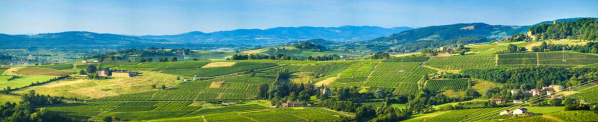 Fototapeta na wymiar Panoramic view of Beaujolais land, France
