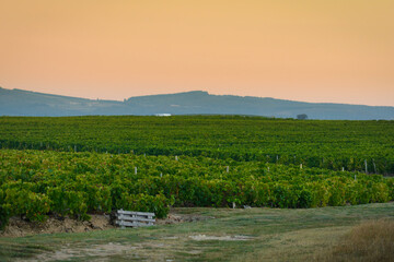 Landscape of Beaujolais land with first lights of the day, France