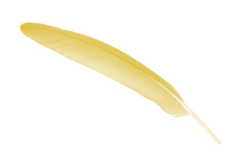 Beautiful yellow colors tone feather isolated on white background