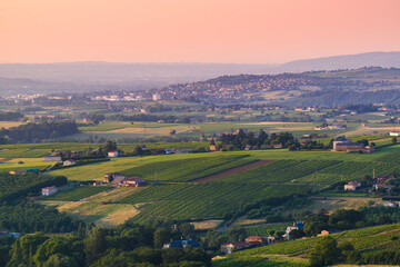 Fototapeta na wymiar Paysage de vignes et vue sur Limas, Beaujolais, France
