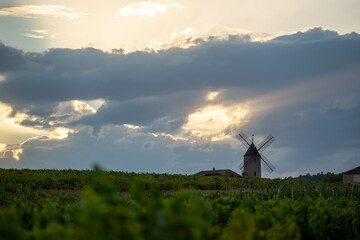 Fototapeta na wymiar Coucher de soleil sur le vignoble de Moulin-A-Vent
