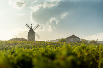 Coucher de soleil sur le vignoble de Moulin-A-Vent