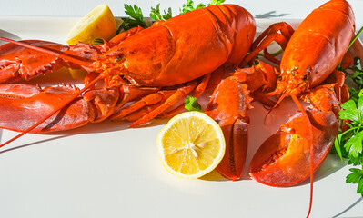 Two fresh bright red steamed lobster on a white table with parsley and lemon halves in bright sun