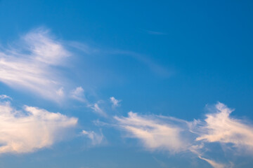 clouds in the blue sky at sunset time. cirrus.