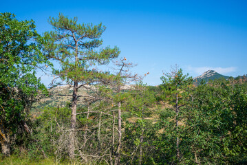 View from the volcano Kara Dag to the mountains in Crimea