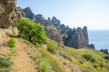 View from the volcano Kara Dag to the Black Sea in Crimea
