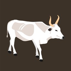 White ox vector illustration