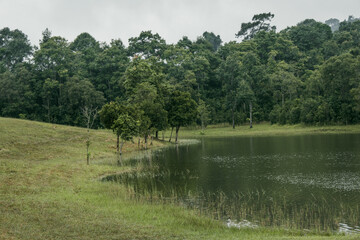 Beautiful nature with trees and mountains, waterfalls. It is a tourist destination for a vacation.