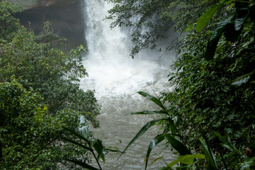 Beautiful nature with trees and mountains, waterfalls. It is a tourist destination for a vacation.