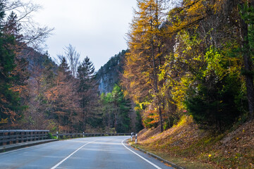 road in autumn