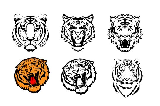 Tiger Tattoos Images – Browse 54,093 Stock Photos, Vectors, and Video |  Adobe Stock
