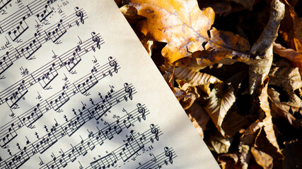 Musical notes. musical notes and leaves. beautiful autumn background. concept of creativity, autumn...