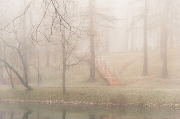 A loneley stairs among trees in the park during the fog