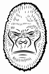 illustration of a gorilla head , vector drawing