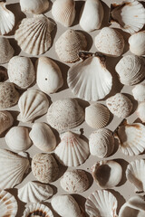 Lots of beige and white seashells. Abstract flat lay, top view pattern background - obrazy, fototapety, plakaty