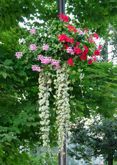 Blumenschmuck am Mast einer Laterne