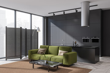 Corner view of grey and green living space with double sided kitchen