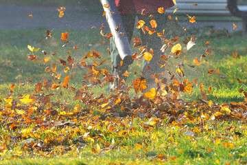 Working in the Park removes autumn leaves with a blower