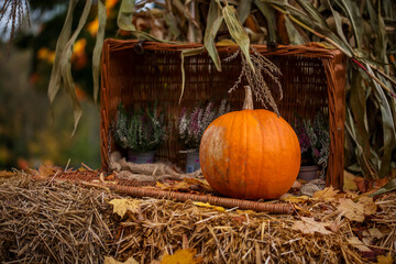 Herbstliches Hintergrund mit Kürbis