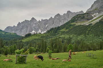Fototapeta premium Kleiner Ahornboden with the Laliderer Wände in the Karwendel mountains, Hinterriß, Austria, Europe