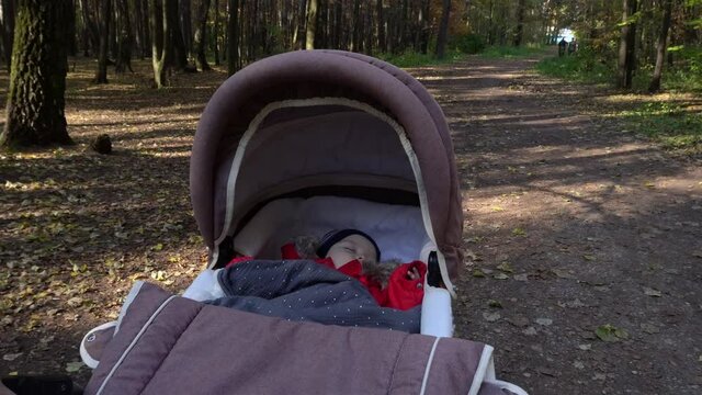 Baby boy is sleeping in a stroller while walking in the autumn forest park.