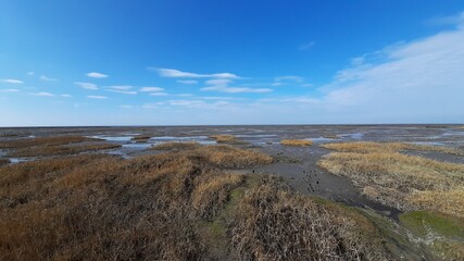 landscape with river