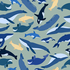 Seamless pattern of whales. Beluga, killer whale, humpback whale, cachalot, blue whale, dolphin, bowhead, southern right whale, sperm hale. Underwater world, Marine. Vector illustration of a whales.