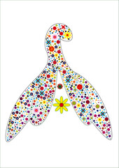 Reproductive system of the clitoris. Clitoral glans.Feminism theme and female genital organs. Clitoris image in the shape of a flower.