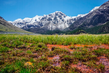 Orange spring of Narzan on the background of snowy mountains